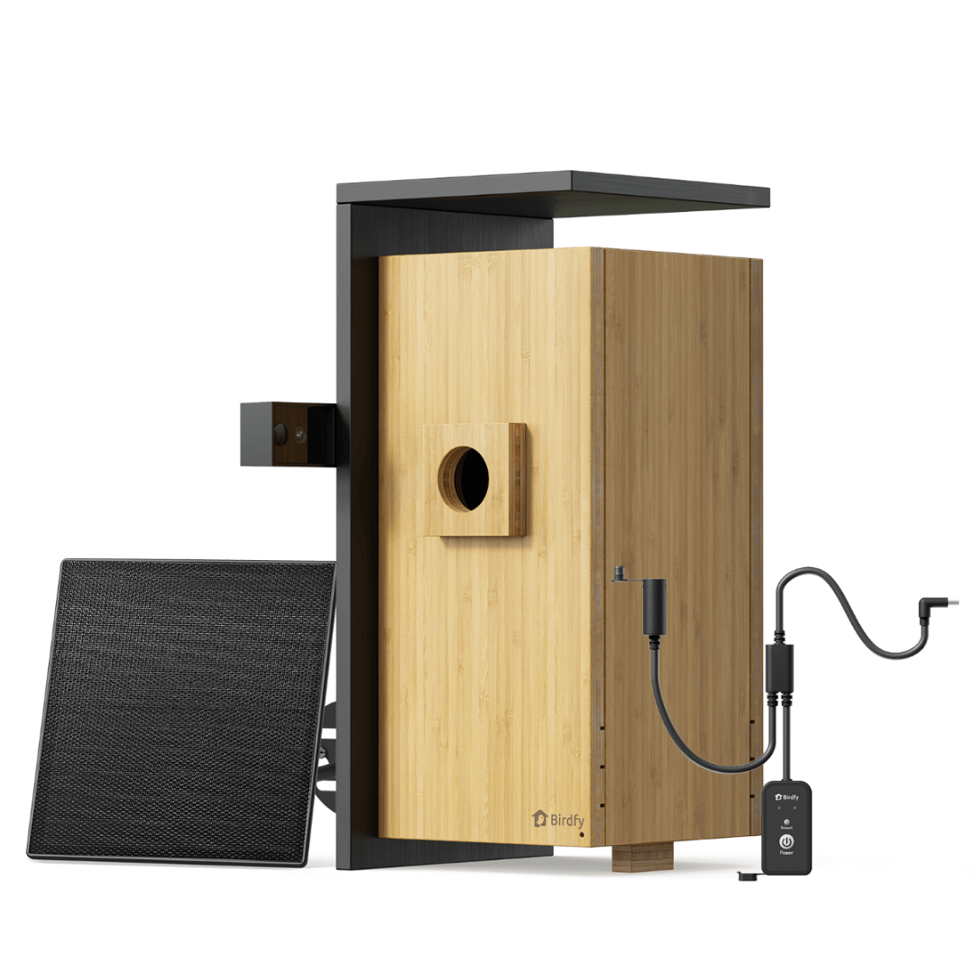 Birdfy Nest Duo birdhouse with exterior camera and solar panel