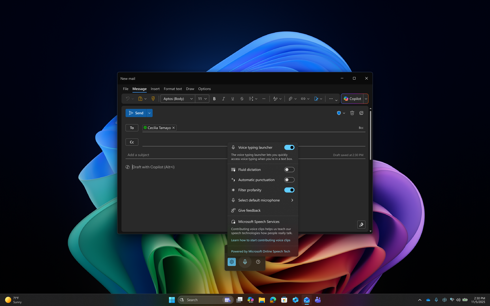Microsoft screenshot of Windows 11 voice typing settings